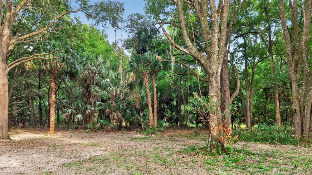 0 N US HWY 301 Citra, FL 32113