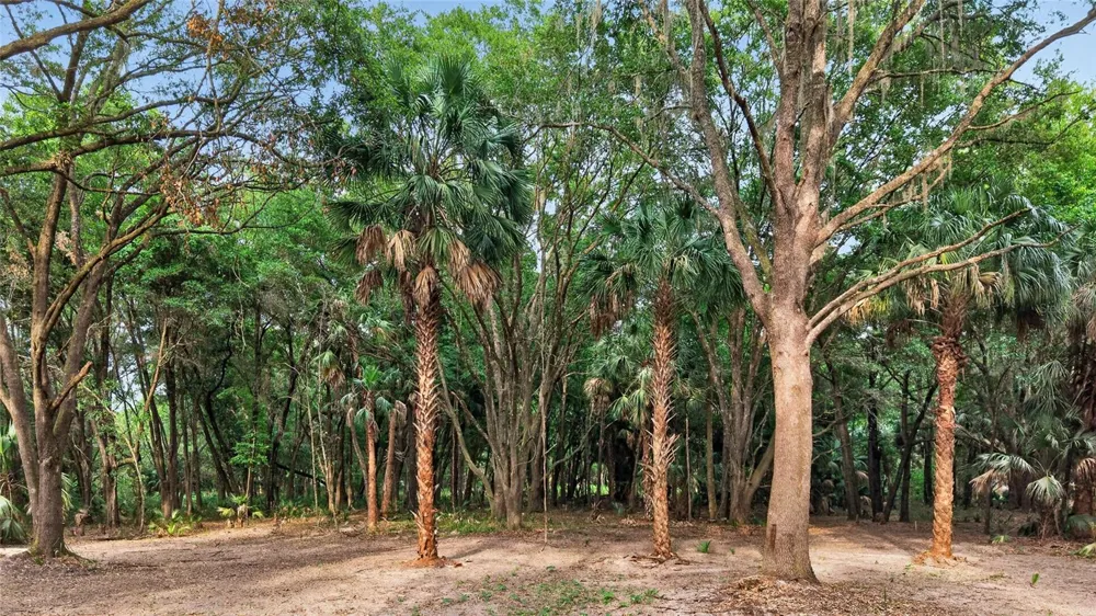 0 N US HWY 301 Citra, FL 32113