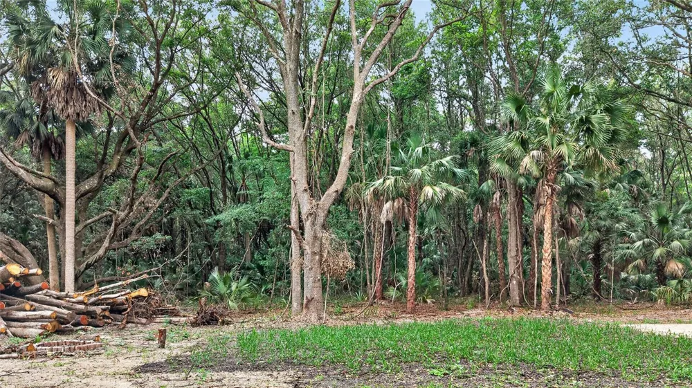 0 N US HWY 301 Citra, FL 32113