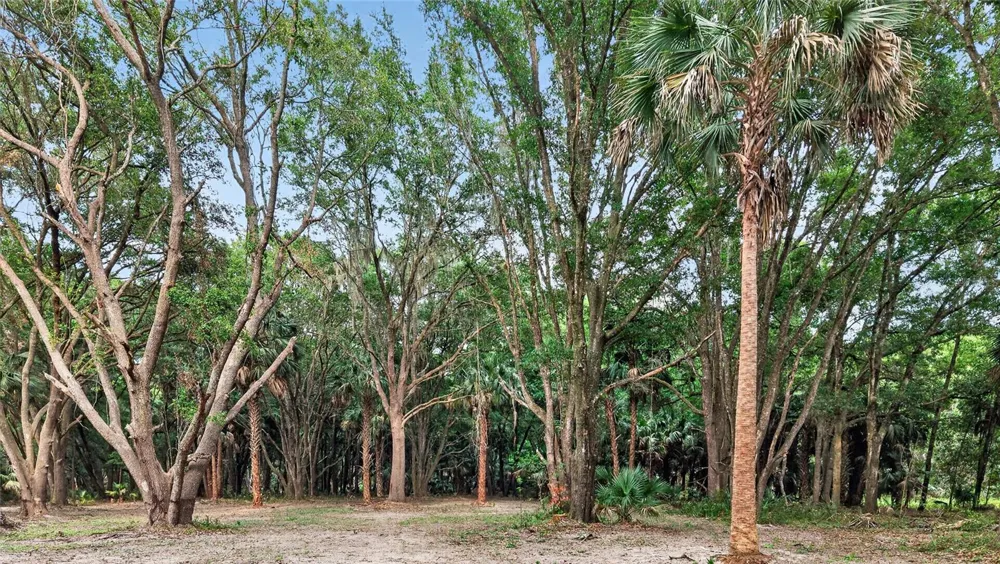 0 N US HWY 301 Citra, FL 32113