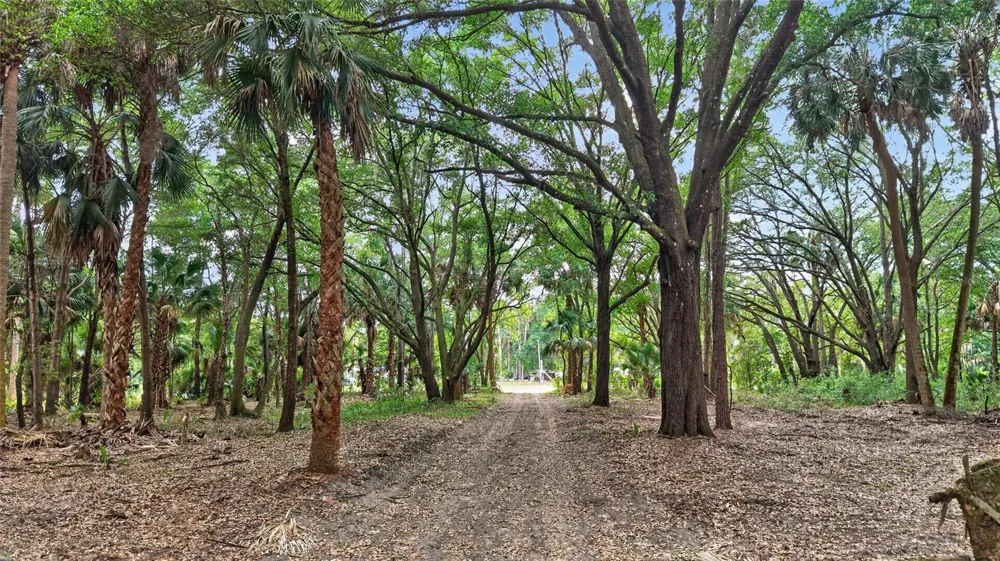 0 N US HWY 301 Citra, FL 32113