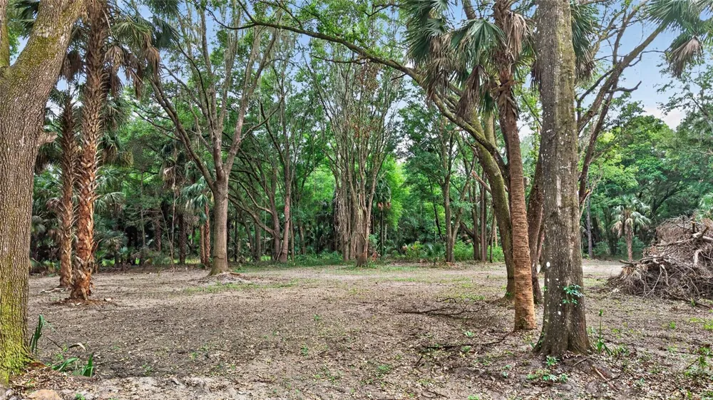 0 N US HWY 301 Citra, FL 32113