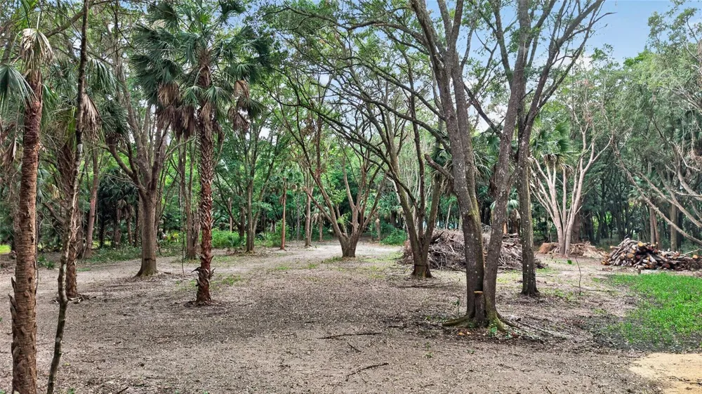 0 N US HWY 301 Citra, FL 32113