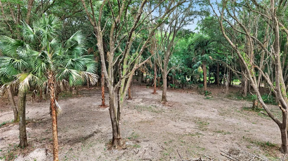 0 N US HWY 301 Citra, FL 32113