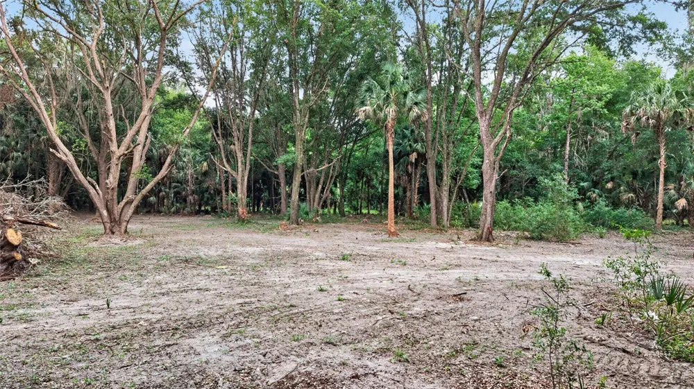 0 N US HWY 301 Citra, FL 32113