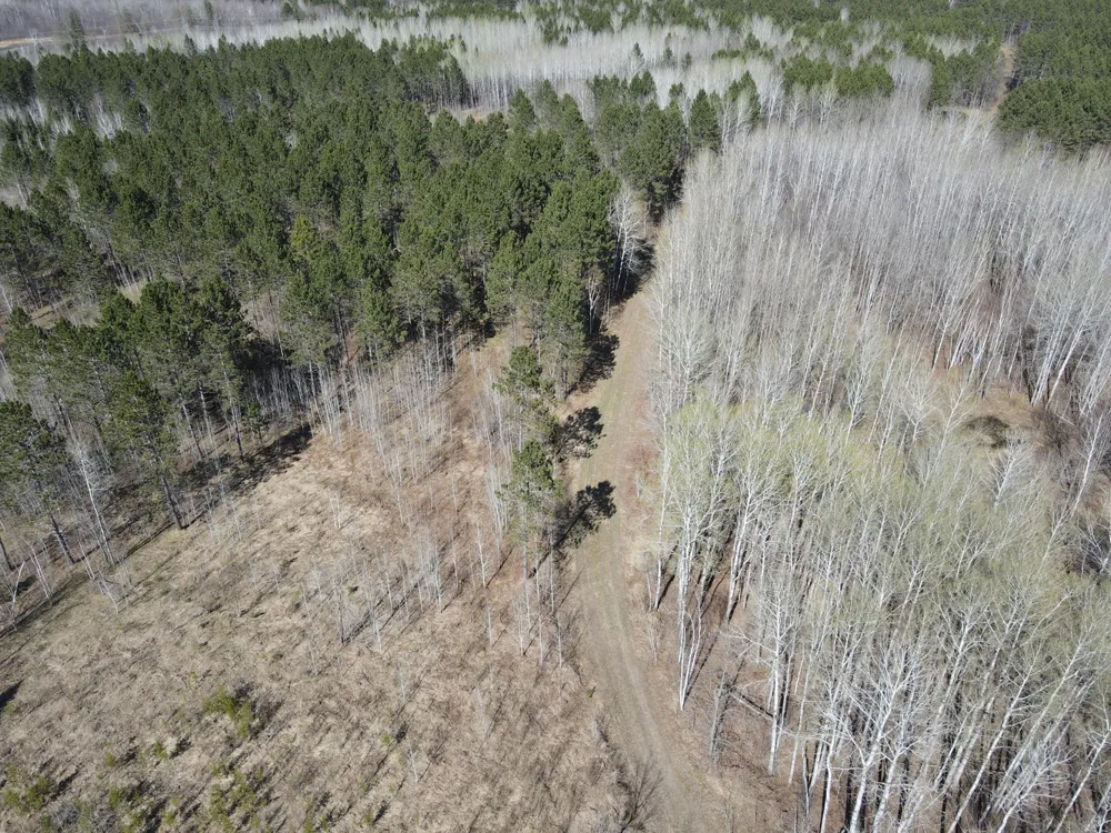 TBD (164.21AC) Maple Grove Road Cloquet, MN 55720