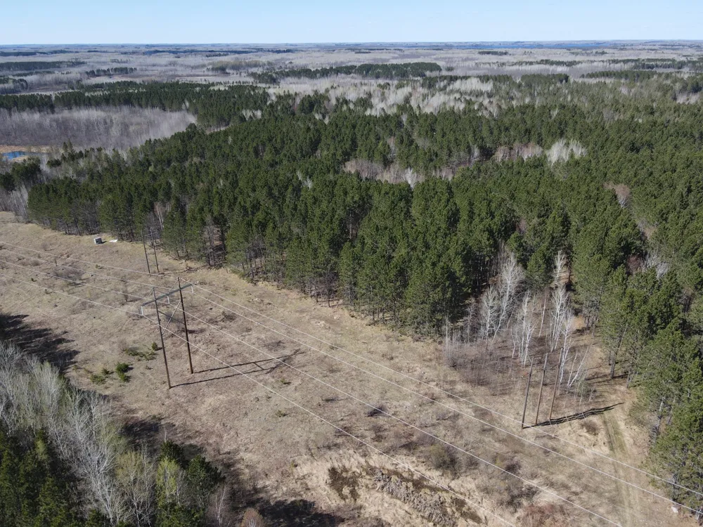 TBD (164.21AC) Maple Grove Road Cloquet, MN 55720