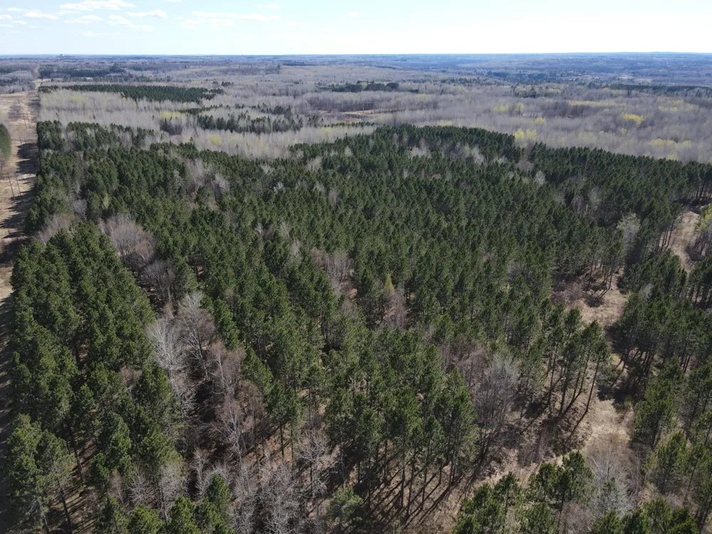 TBD (164.21AC) Maple Grove Road Cloquet, MN 55720