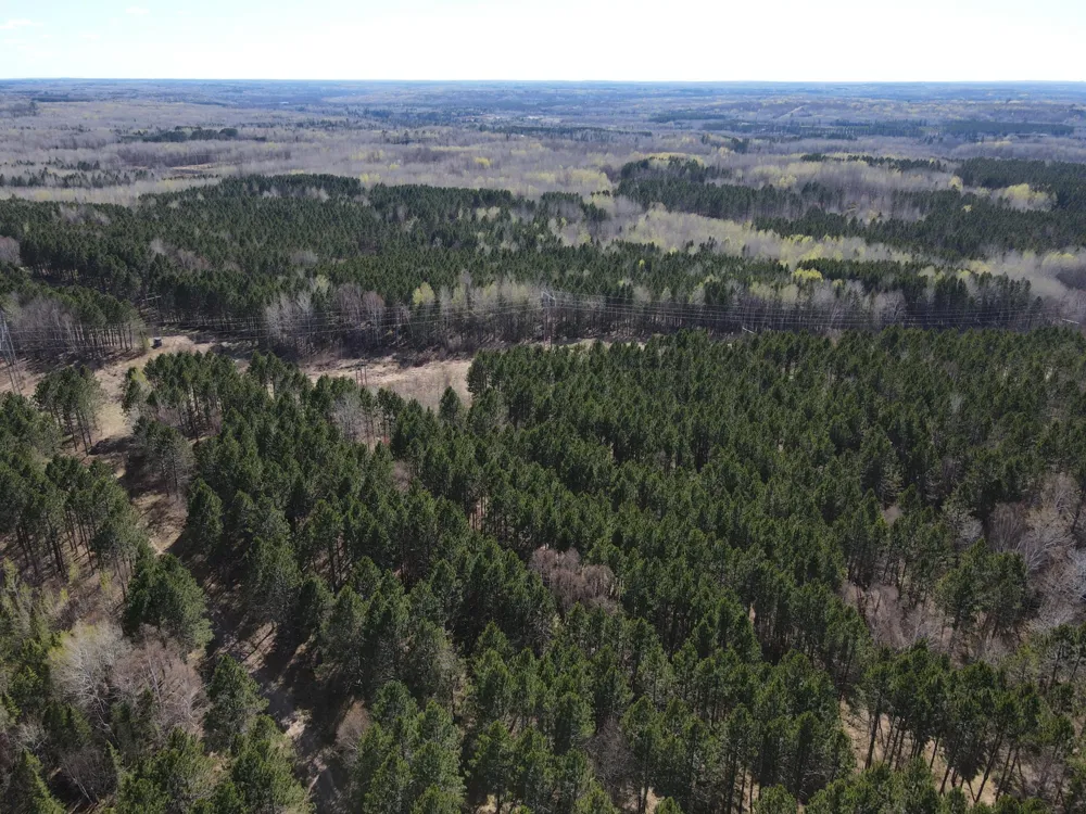 TBD (164.21AC) Maple Grove Road Cloquet, MN 55720