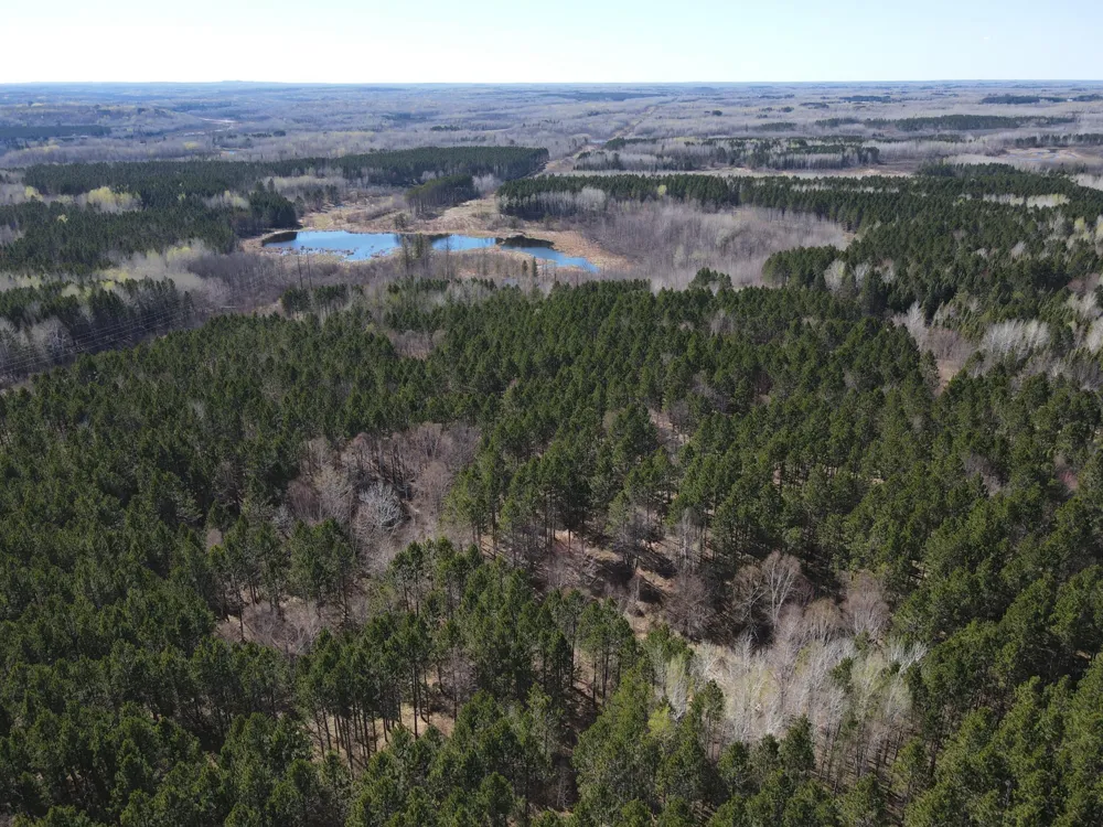 TBD (164.21AC) Maple Grove Road Cloquet, MN 55720