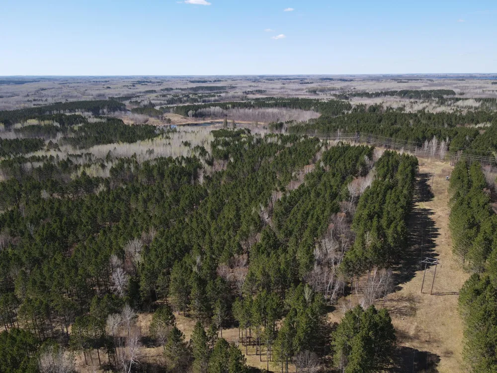 TBD (164.21AC) Maple Grove Road Cloquet, MN 55720