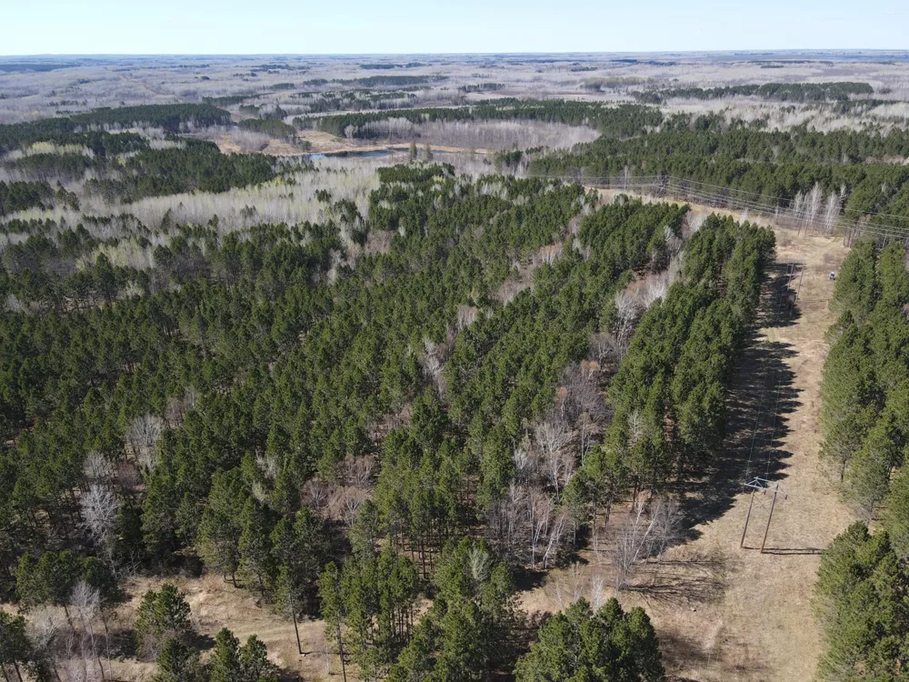 TBD (164.21AC) Maple Grove Road Cloquet, MN 55720