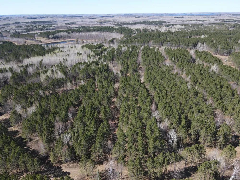 TBD (164.21AC) Maple Grove Road Cloquet, MN 55720