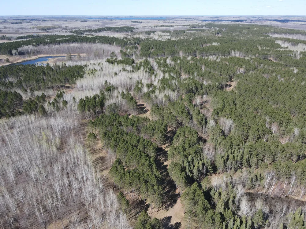 TBD (164.21AC) Maple Grove Road Cloquet, MN 55720