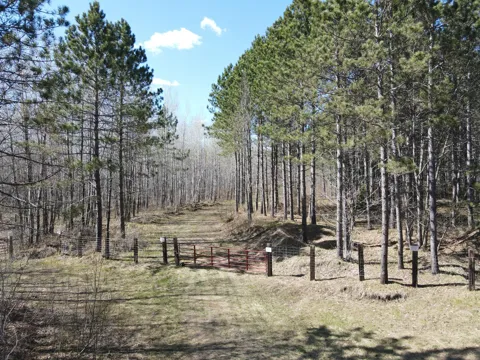 TBD (164.21AC) Maple Grove Road