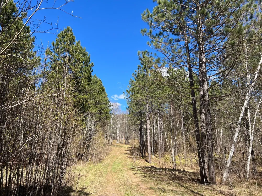 TBD (164.21AC) Maple Grove Road Cloquet, MN 55720