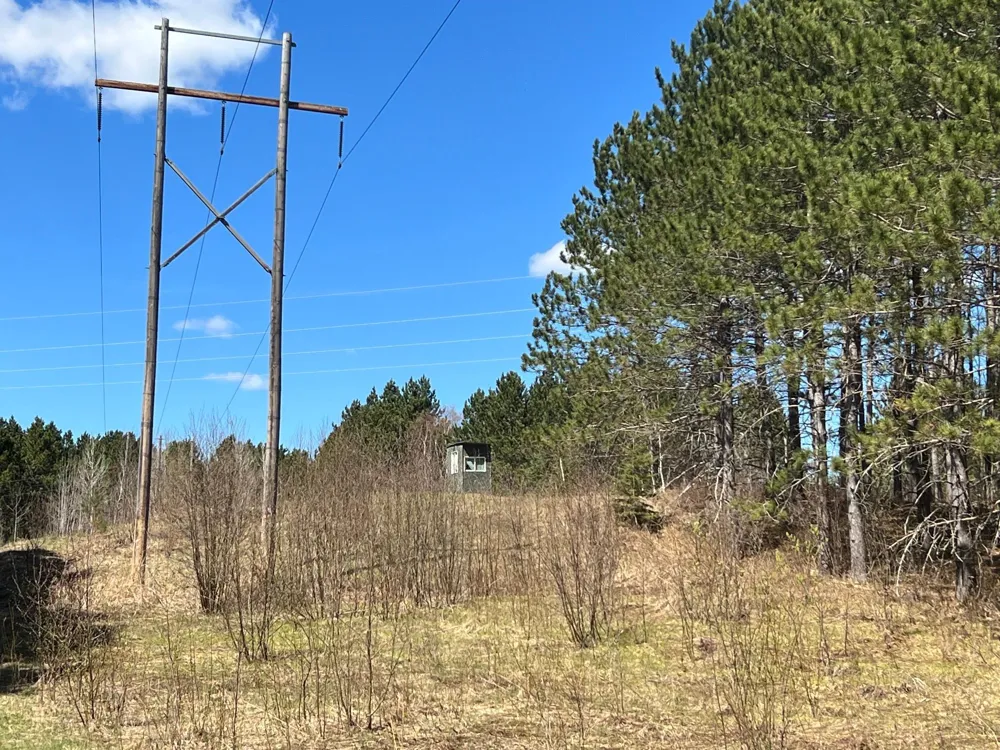 TBD (164.21AC) Maple Grove Road Cloquet, MN 55720