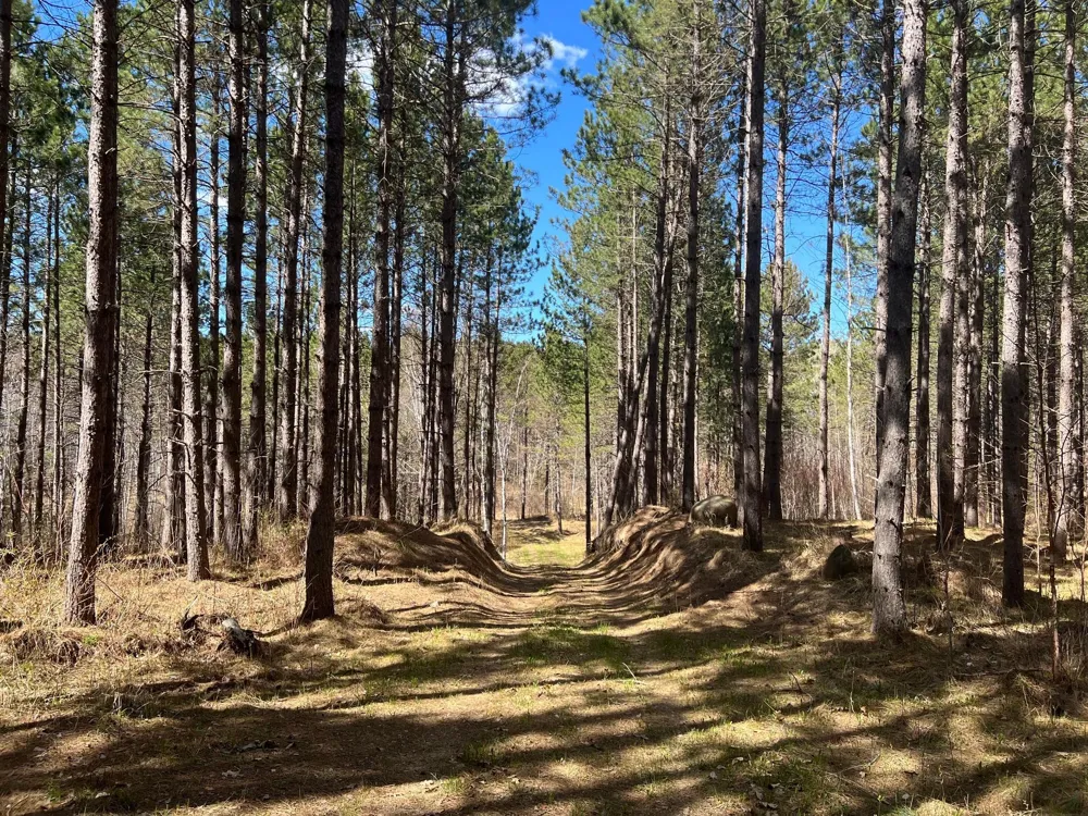 TBD (164.21AC) Maple Grove Road Cloquet, MN 55720