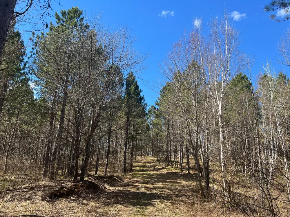 TBD (164.21AC) Maple Grove Road Cloquet, MN 55720