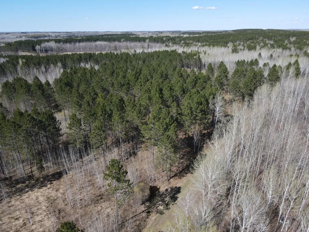 TBD (280AC) Maple Grove Road Cloquet, MN 55720