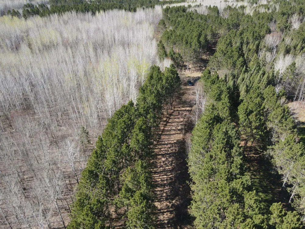 TBD (280AC) Maple Grove Road Cloquet, MN 55720