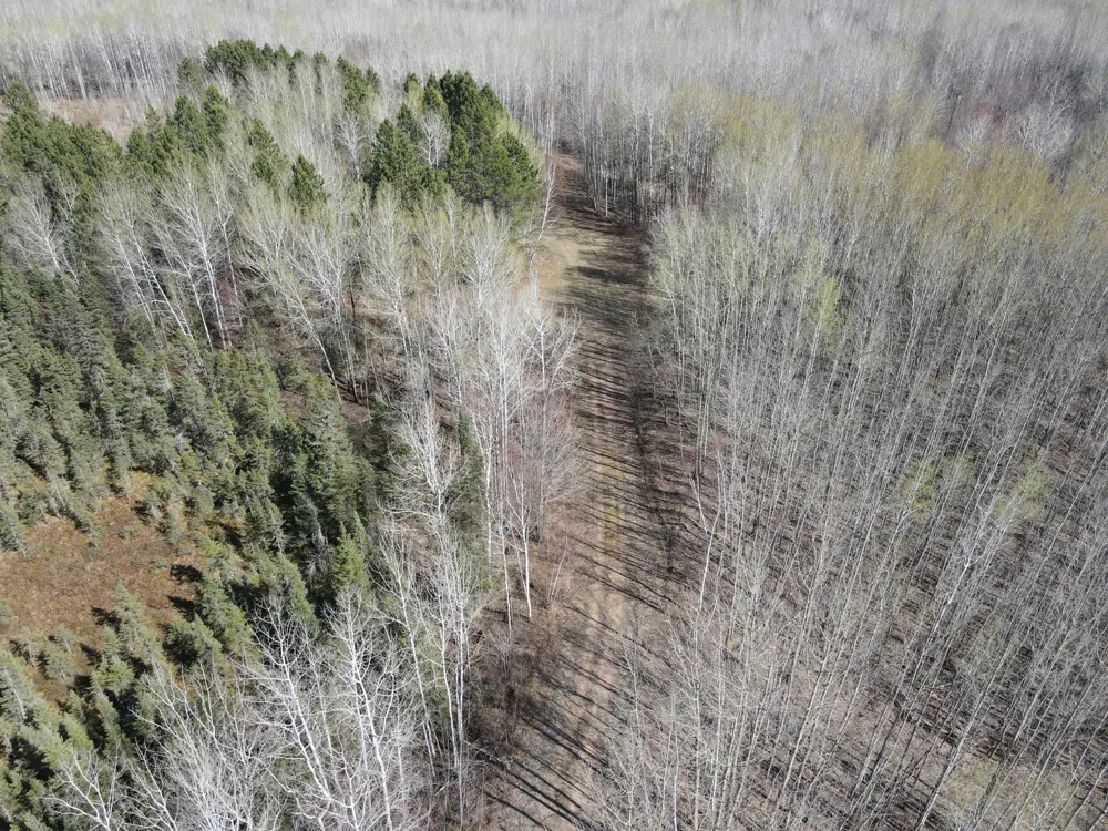 TBD (280AC) Maple Grove Road Cloquet, MN 55720