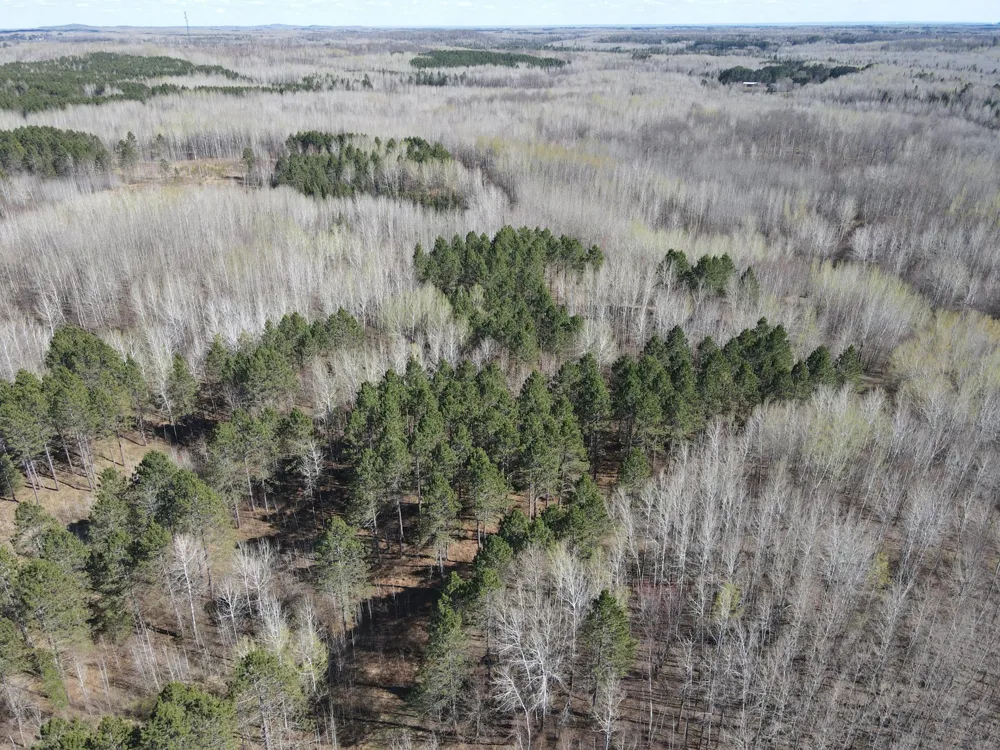 TBD (280AC) Maple Grove Road Cloquet, MN 55720