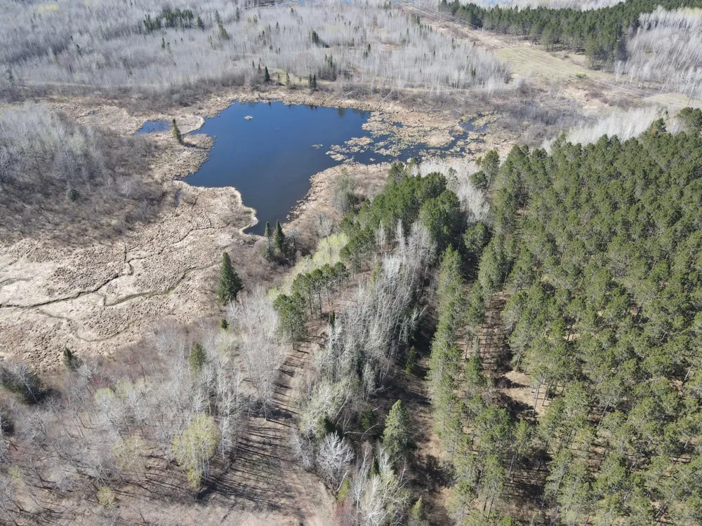 TBD (280AC) Maple Grove Road Cloquet, MN 55720