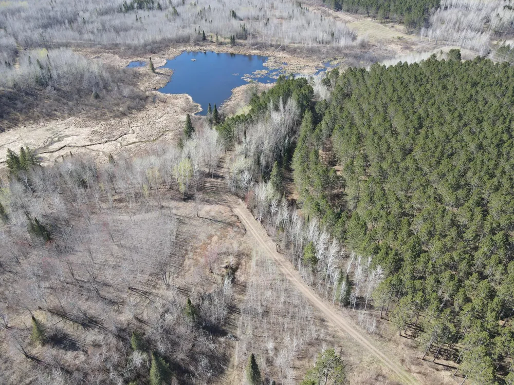 TBD (280AC) Maple Grove Road Cloquet, MN 55720