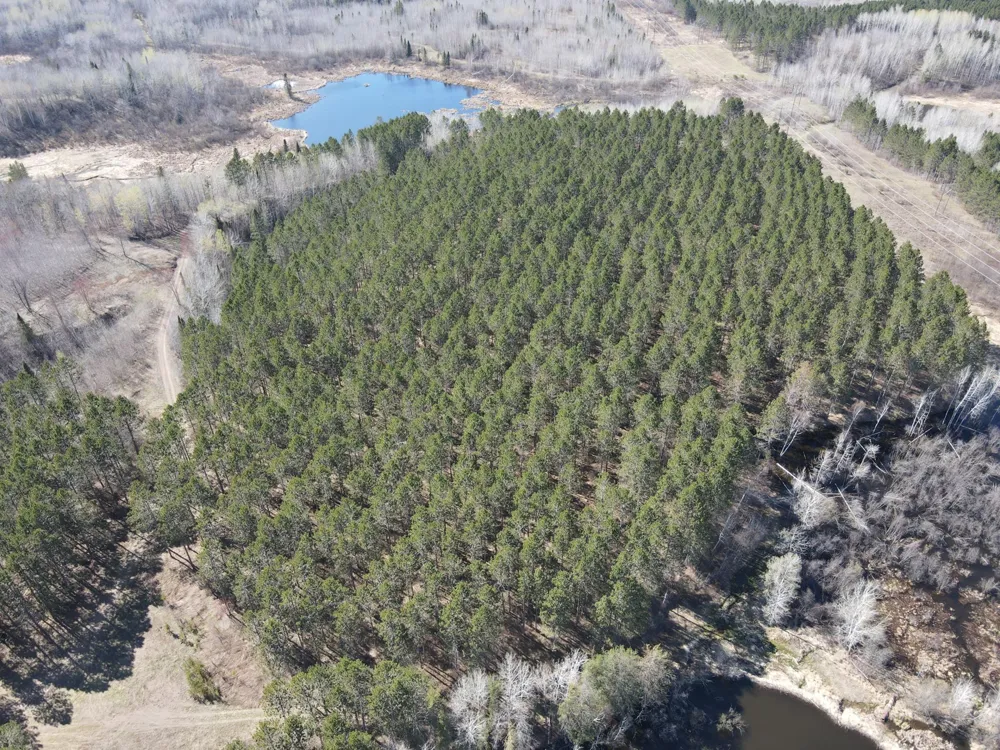 TBD (280AC) Maple Grove Road Cloquet, MN 55720