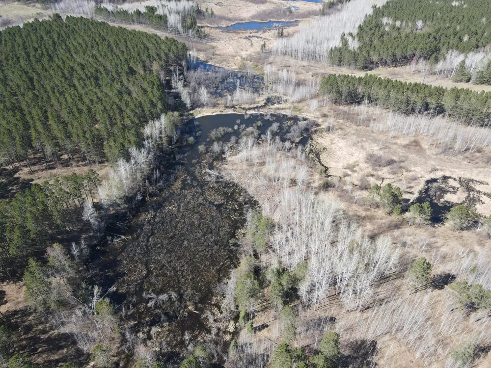 TBD (280AC) Maple Grove Road Cloquet, MN 55720