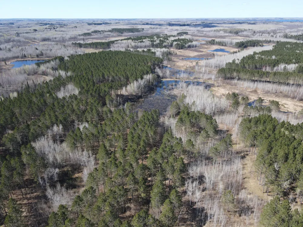 TBD (280AC) Maple Grove Road Cloquet, MN 55720