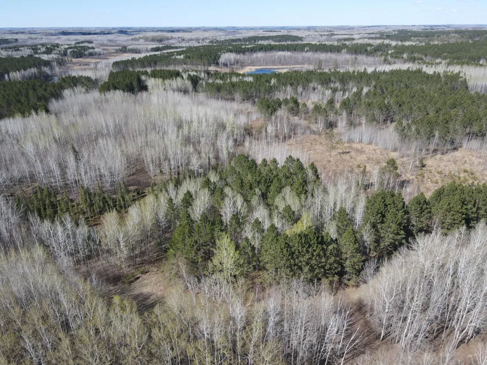 TBD (280AC) Maple Grove Road Cloquet, MN 55720