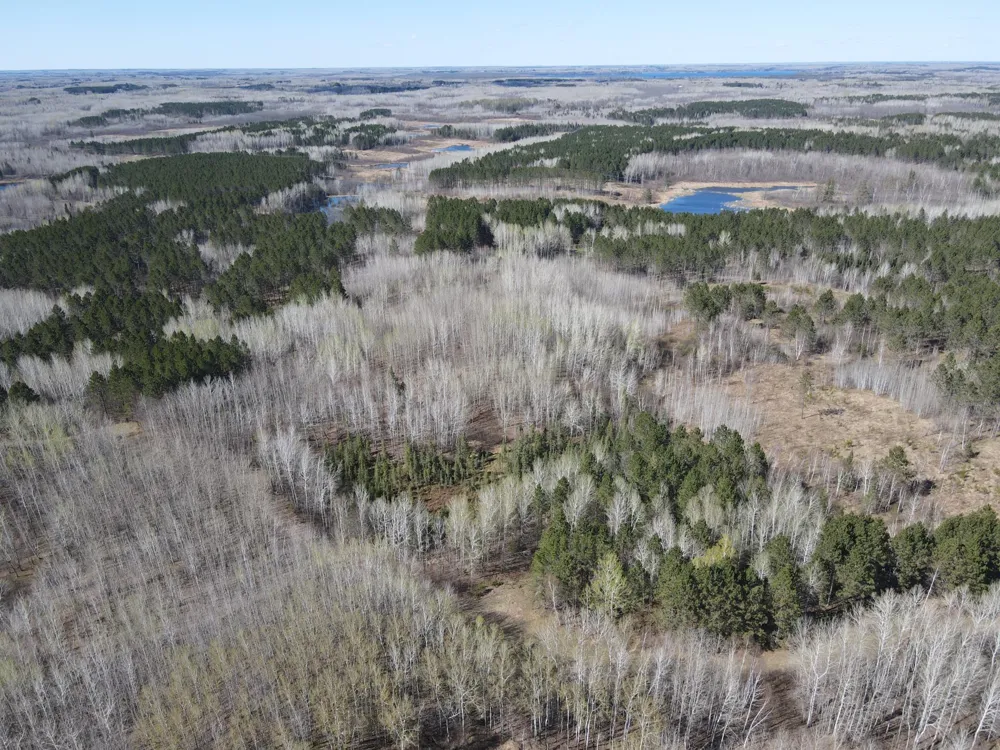 TBD (280AC) Maple Grove Road Cloquet, MN 55720