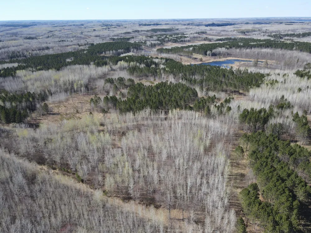 TBD (280AC) Maple Grove Road Cloquet, MN 55720