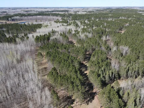 TBD (280AC) Maple Grove Road