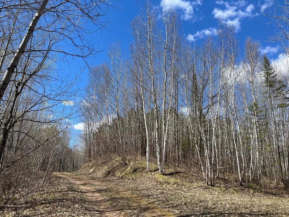 TBD (280AC) Maple Grove Road Cloquet, MN 55720