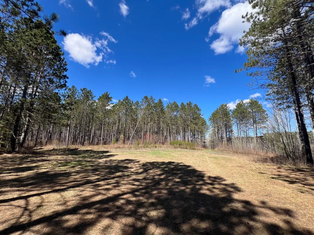 TBD (280AC) Maple Grove Road Cloquet, MN 55720