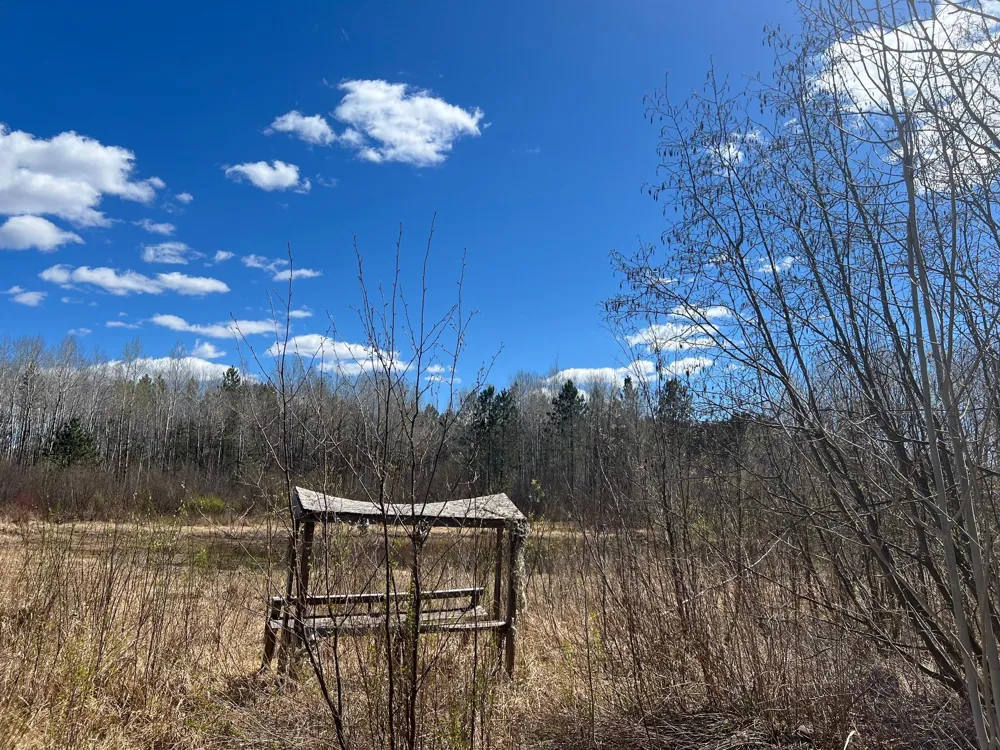 TBD (280AC) Maple Grove Road Cloquet, MN 55720