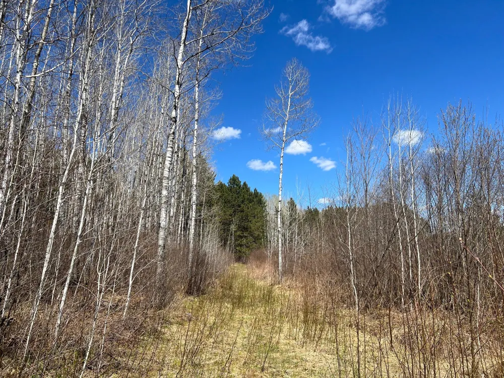 TBD (280AC) Maple Grove Road Cloquet, MN 55720