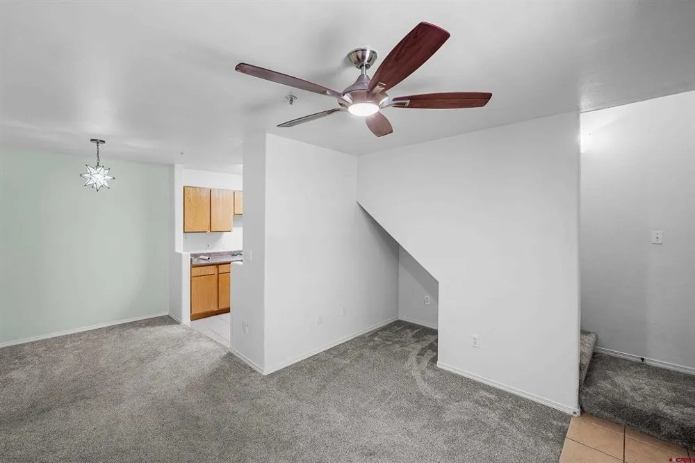 1100 Goeglein Gulch Road #163 Durango, CO 81301