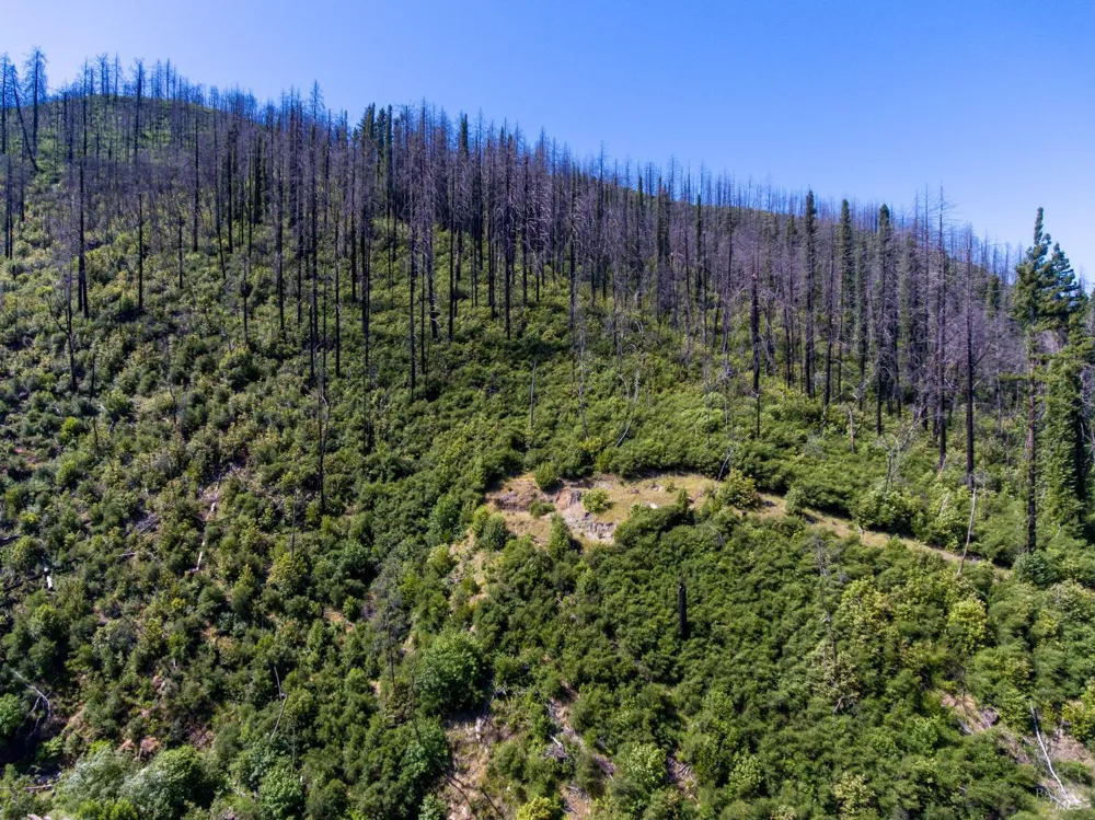 8300 St Helena Road Santa Rosa, CA 95404