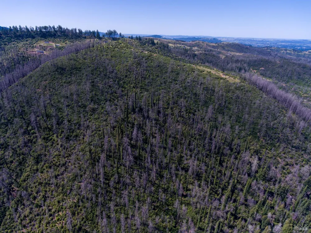 8300 St Helena Road Santa Rosa, CA 95404
