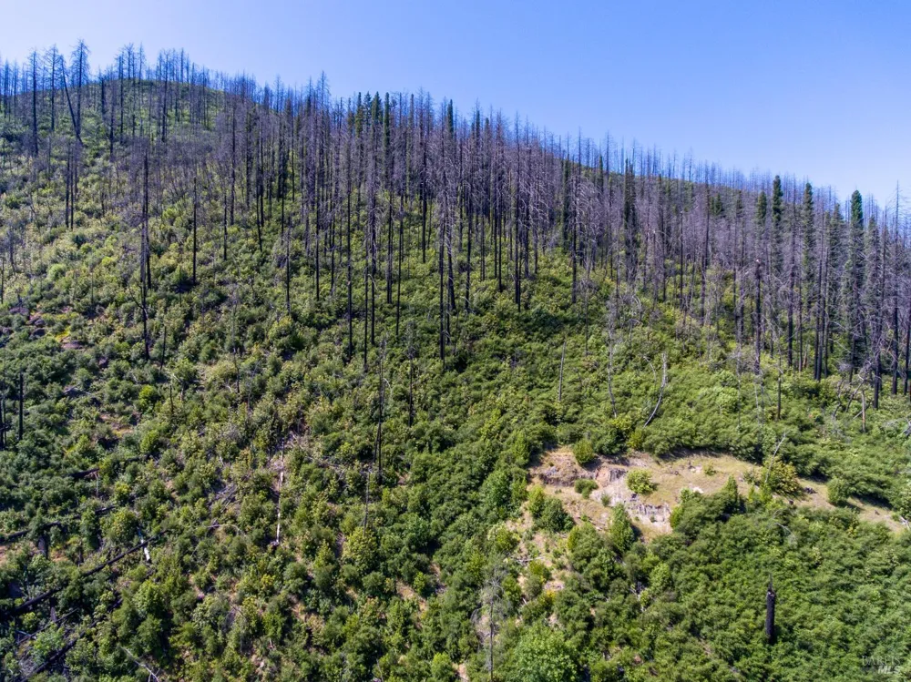 8300 St Helena Road Santa Rosa, CA 95404