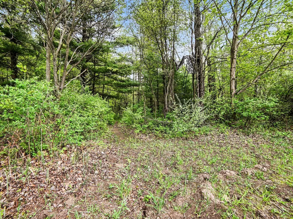6796 120th Avenue Hart, MI 49420