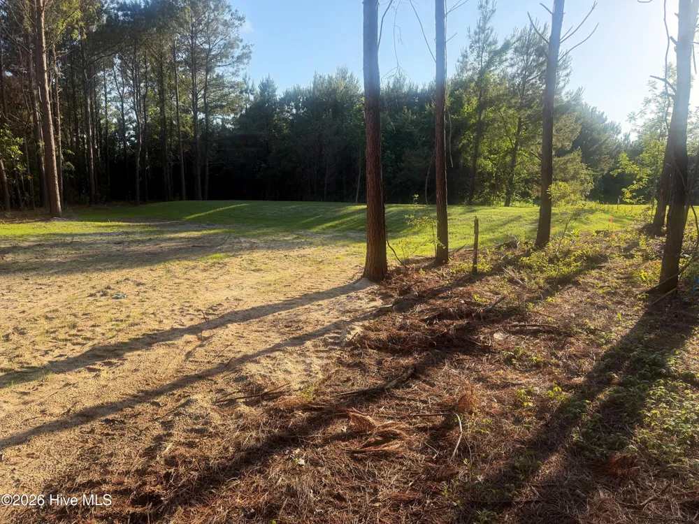 110 Turnstone Way Beaufort, NC 28516