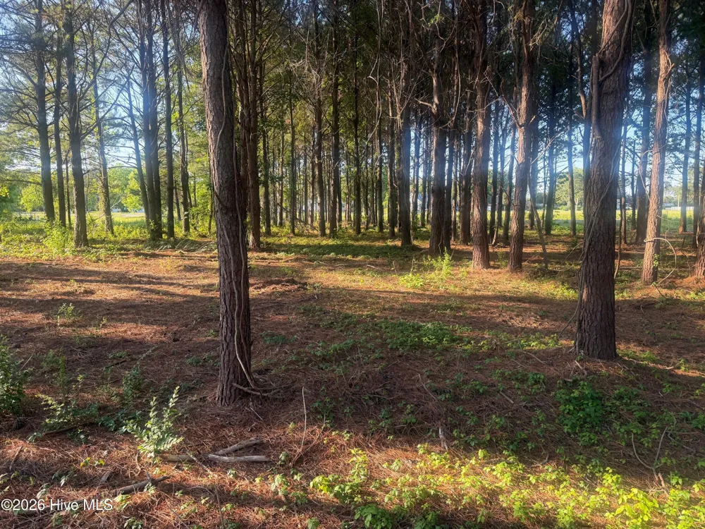 110 Turnstone Way Beaufort, NC 28516