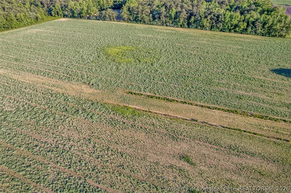 Pope Wray (Lot 1) Road Turkey, NC 28341