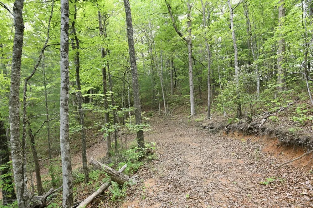 Hillside Terrace Robbinsville, NC 28771