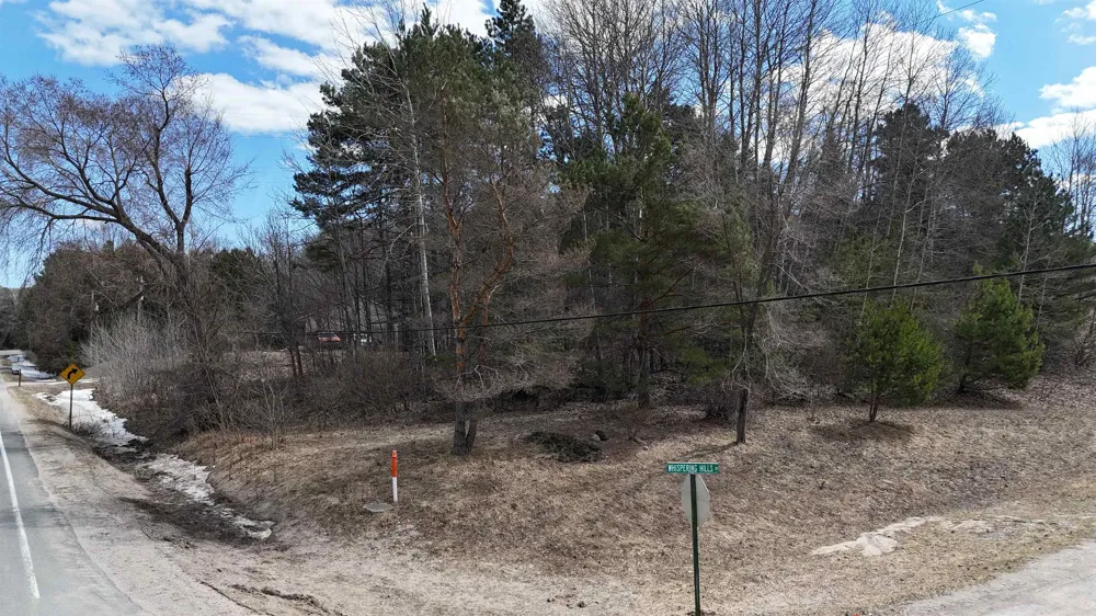 S Whispering Hills Drive Bingham Township, MI 49684